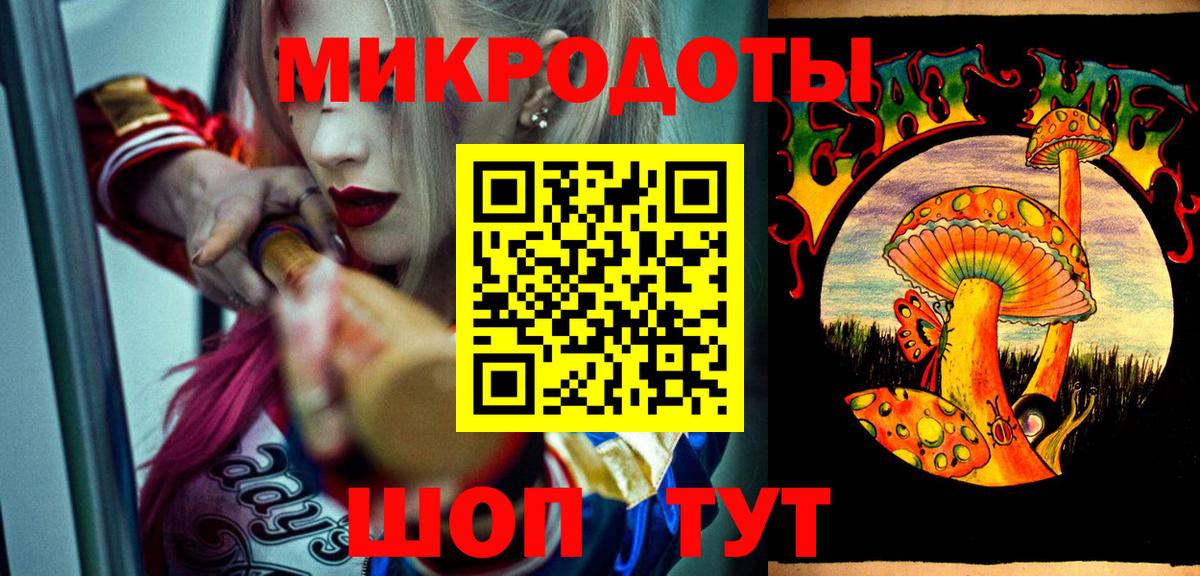 Галлюциногенные грибы Psilocybe Гай