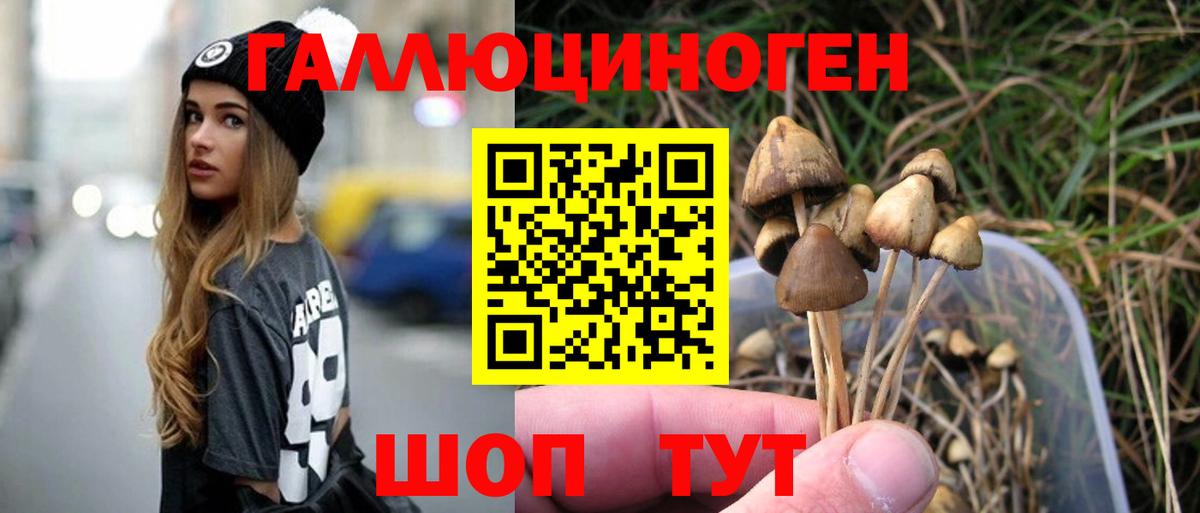 Гай  Галлюциногенные грибы GOLDEN TEACHER  Галлюциногенные грибы ЛСД  Вход с VPN 