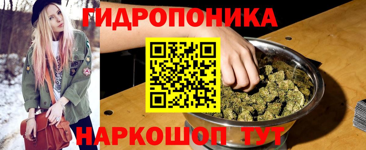 Гай  Шишки марихуана White Widow  Конопля семена  Канабис планчик  Вход с VPN 