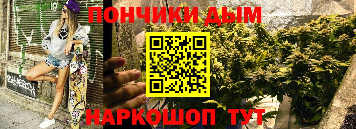 Шишки марихуана сатива Гай